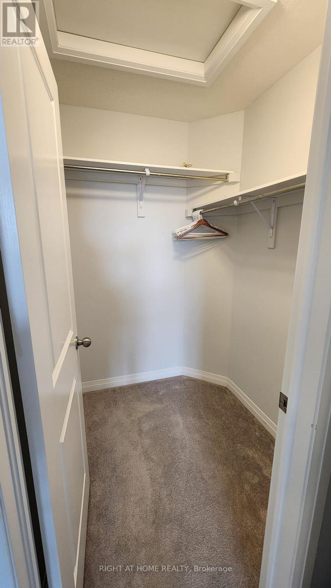 Main - 229 Tall Crass Crescent, Kitchener, Ontario  N2P 0G8 - Photo 9 - X12487740