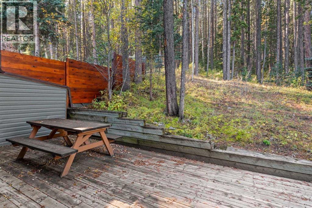 1073 Wilson Way, Canmore, Alberta  T1W 3C5 - Photo 22 - A2265573