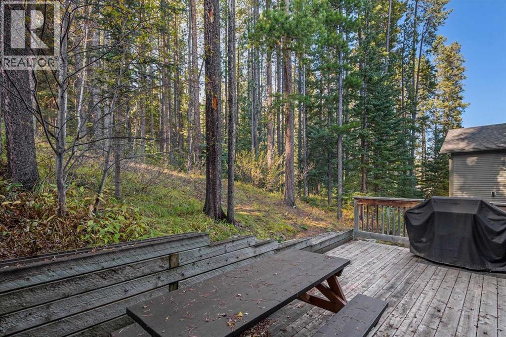 1073 Wilson Way, Canmore, Alberta  T1W 3C5 - Photo 24 - A2265573