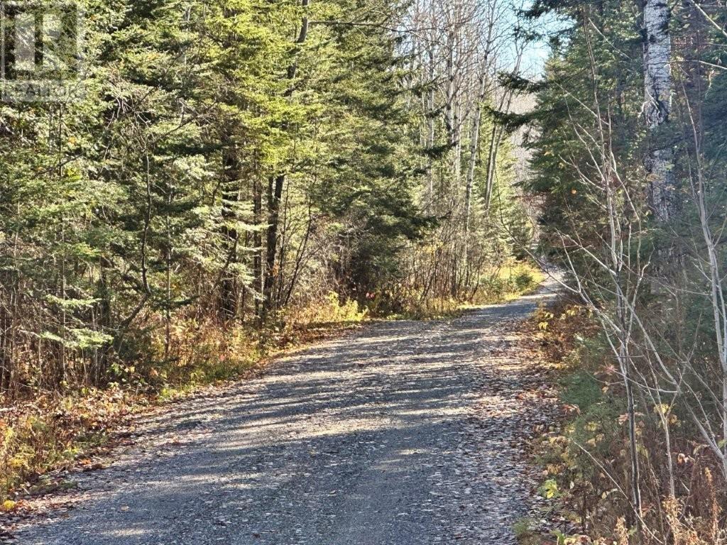 515 Portage Creek Rd, Ware Township, Ontario  P7G 2P5 - Photo 9 - TB253343