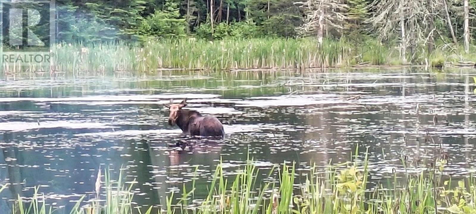 515 Portage Creek Rd, Ware Township, Ontario  P7G 2P5 - Photo 41 - TB253343