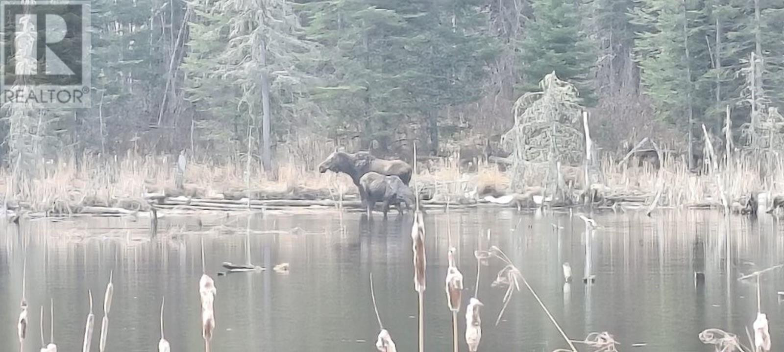 515 Portage Creek Rd, Ware Township, Ontario  P7G 2P5 - Photo 42 - TB253343