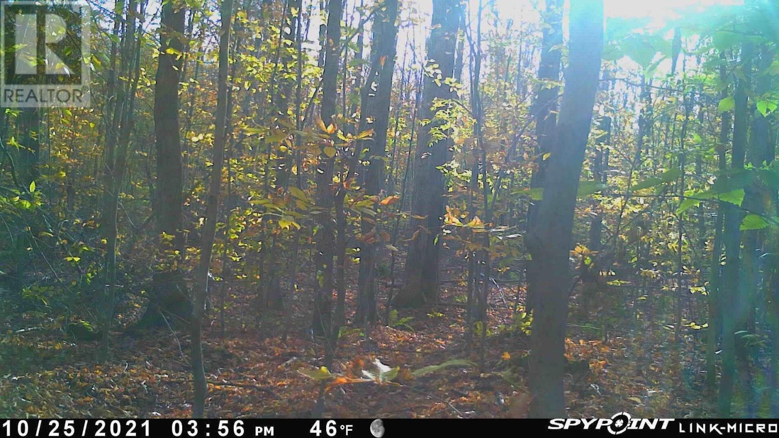 WPt Sec 27 Marlette DR, havilland, Ontario