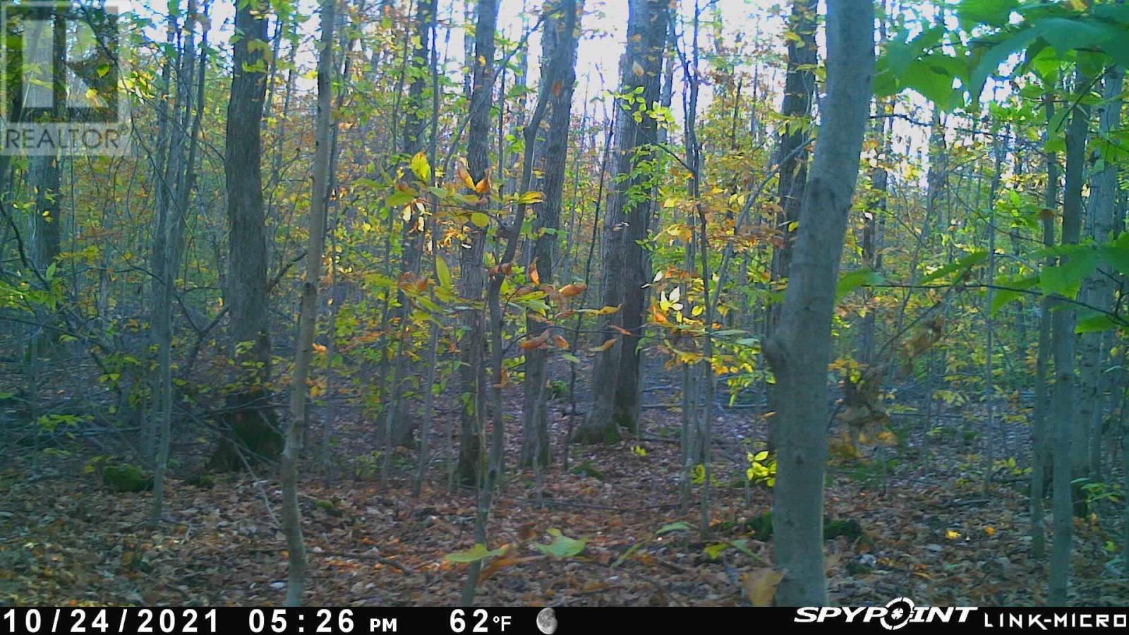 Ept of W1/2 Sec Marlette DR, havilland, Ontario