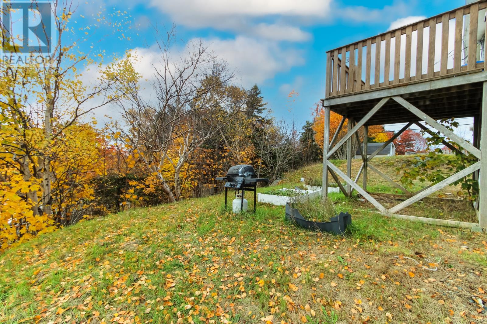 47 Eastaff Street, St. John's, Newfoundland & Labrador  A1E 2J6 - Photo 27 - 1292071