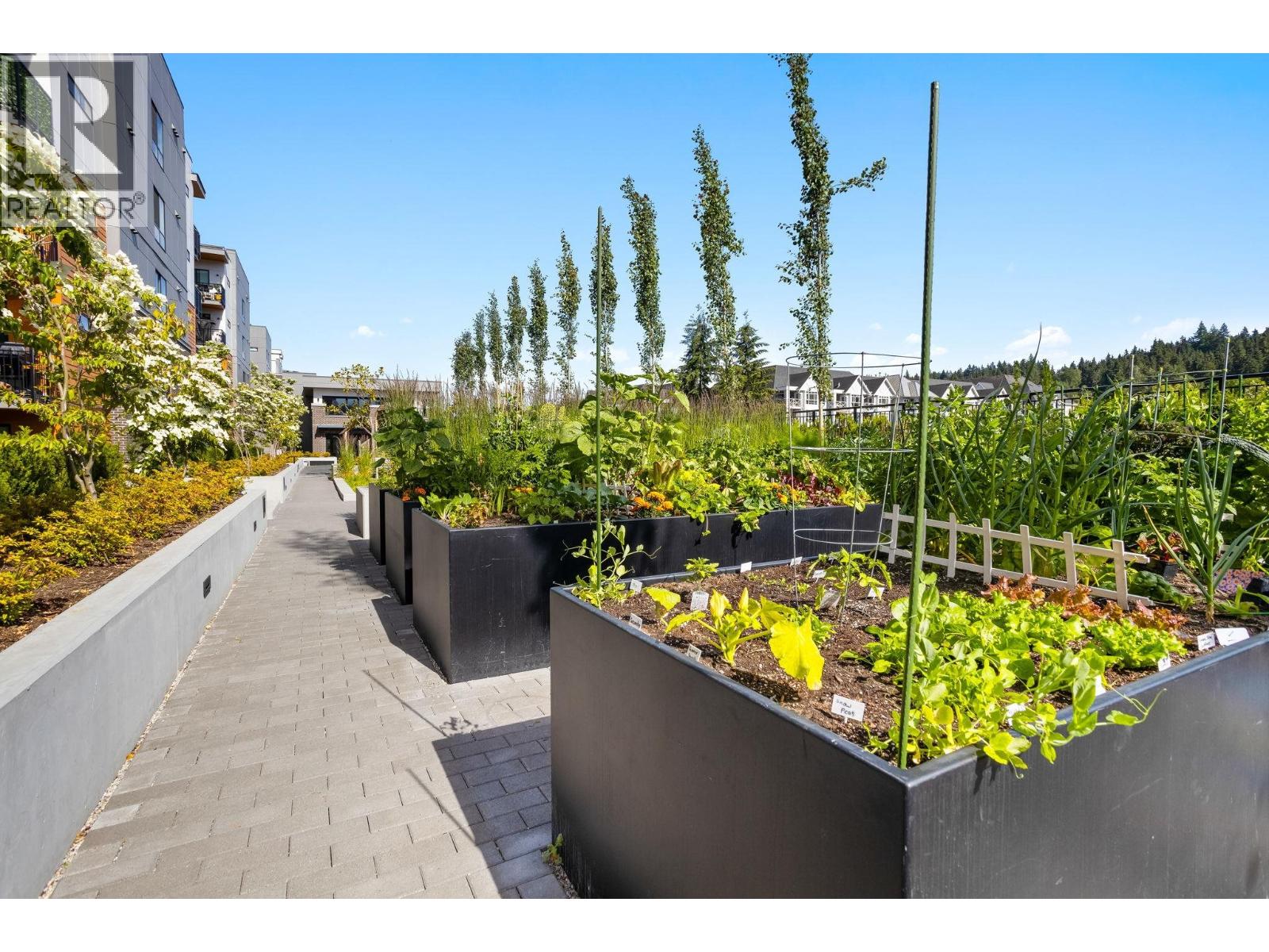 619 55 Klahanie Drive, Port Moody, British Columbia  V3H 0M9 - Photo 26 - R3062233