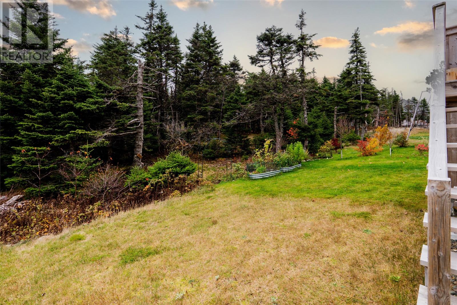 60 Claddagh Road, St. John's, Newfoundland & Labrador  A1H 0N6 - Photo 28 - 1292082