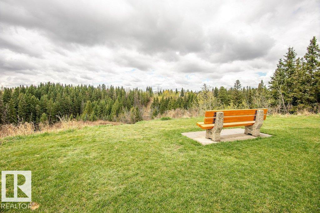 1051 109 St Nw, Edmonton, Alberta  T6J 5J2 - Photo 67 - E4463899