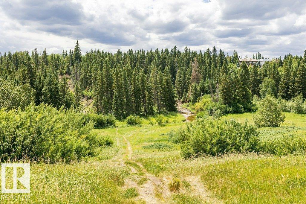 1051 109 St Nw, Edmonton, Alberta  T6J 5J2 - Photo 71 - E4463899