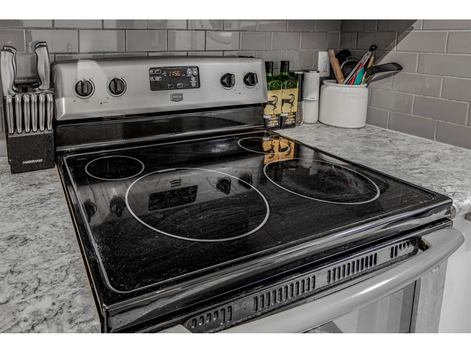 1003 1750 Mckenzie Road, Abbotsford, British Columbia V2S 3Z3 - Photo 15 - R3060828