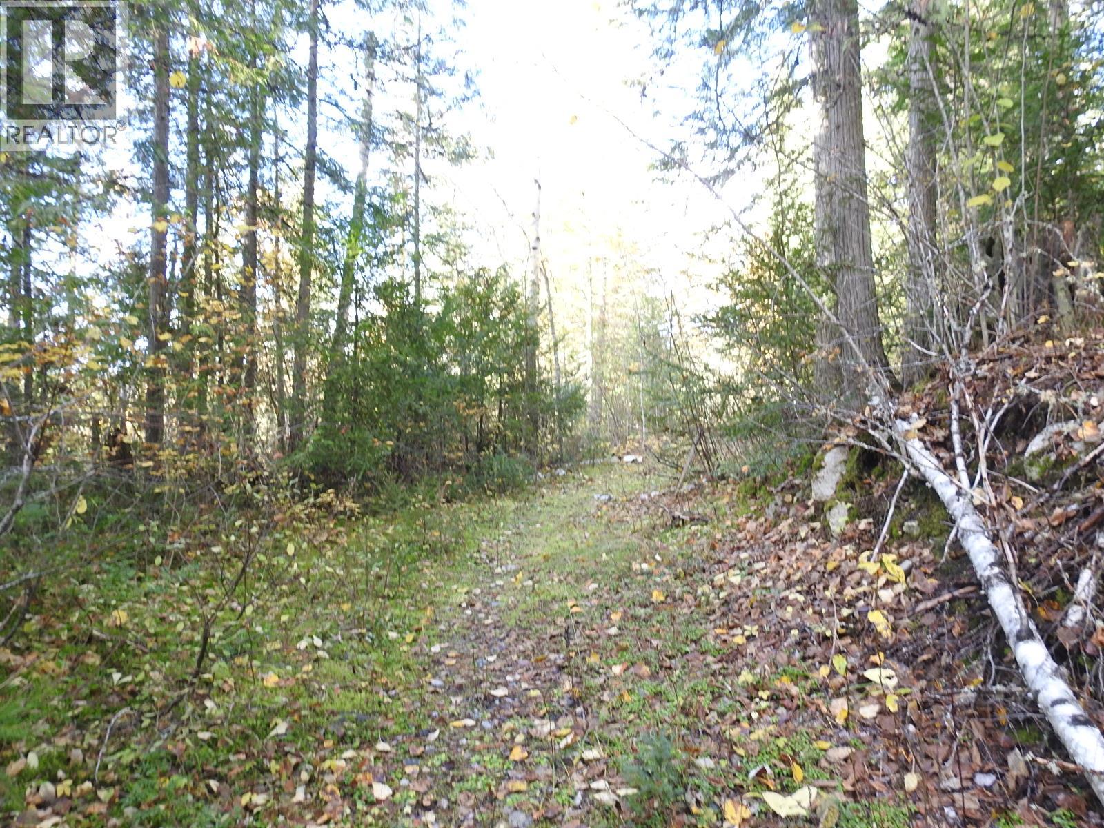 50 East Poirier Road, Mara, British Columbia  V0E 2K0 - Photo 64 - 10308875