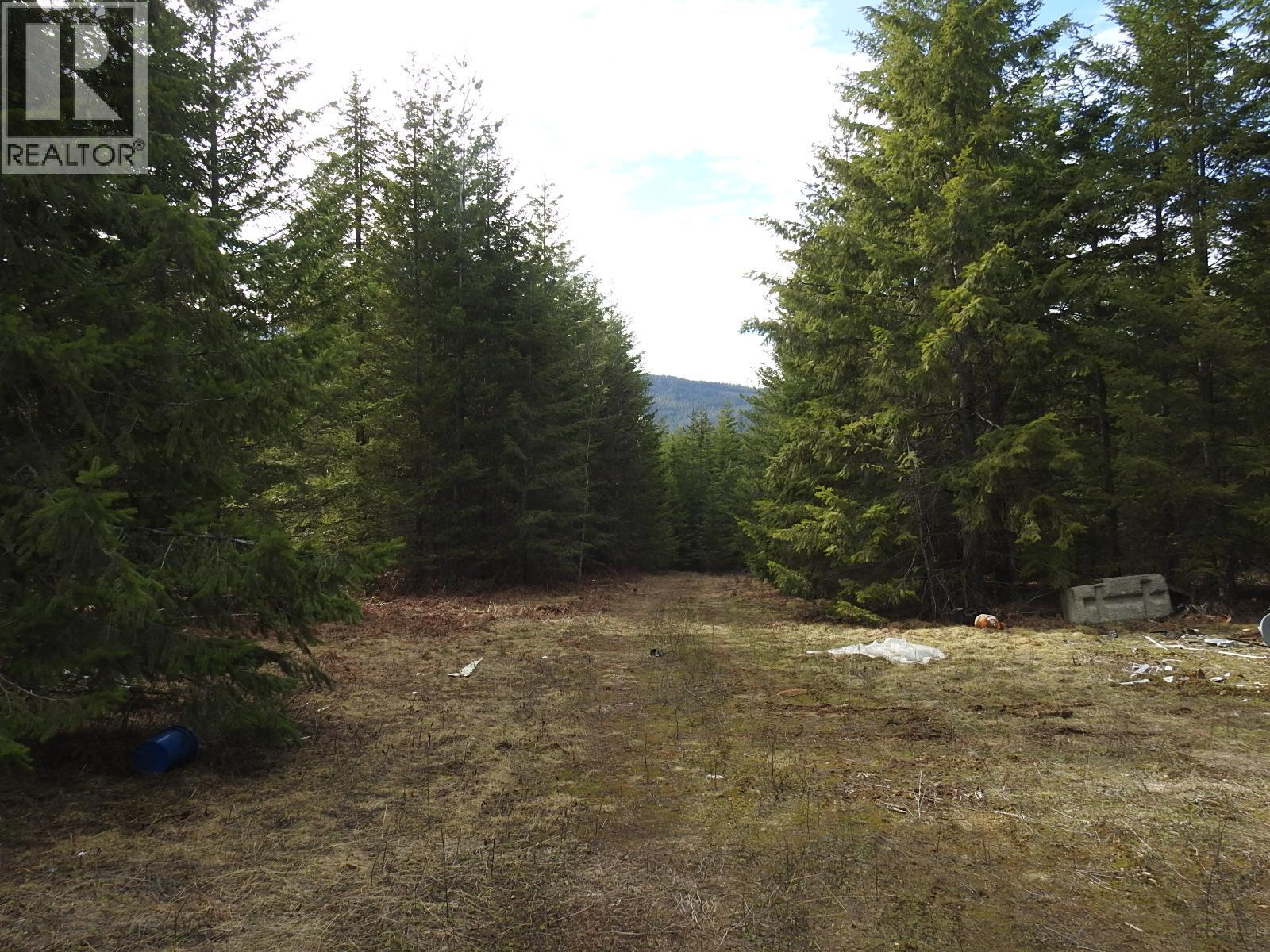 50 East Poirier Road, Mara, British Columbia  V0E 2K0 - Photo 26 - 10308875