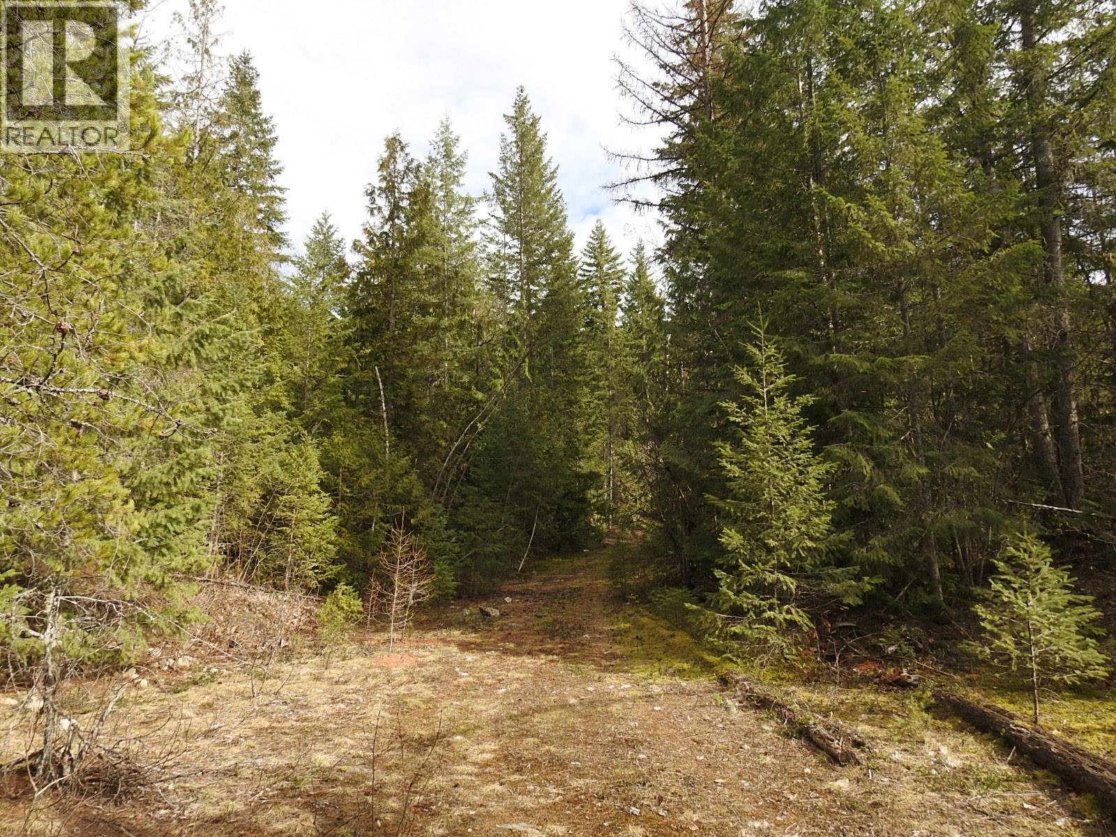 50 East Poirier Road, Mara, British Columbia  V0E 2K0 - Photo 31 - 10308875