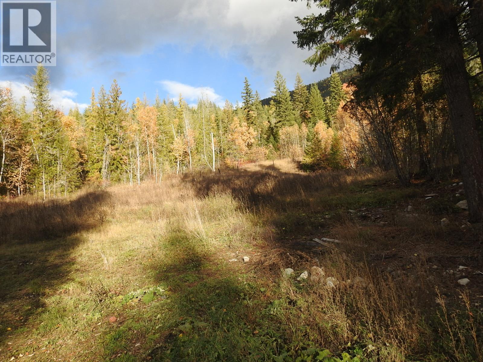 50 East Poirier Road, Mara, British Columbia  V0E 2K0 - Photo 53 - 10308875