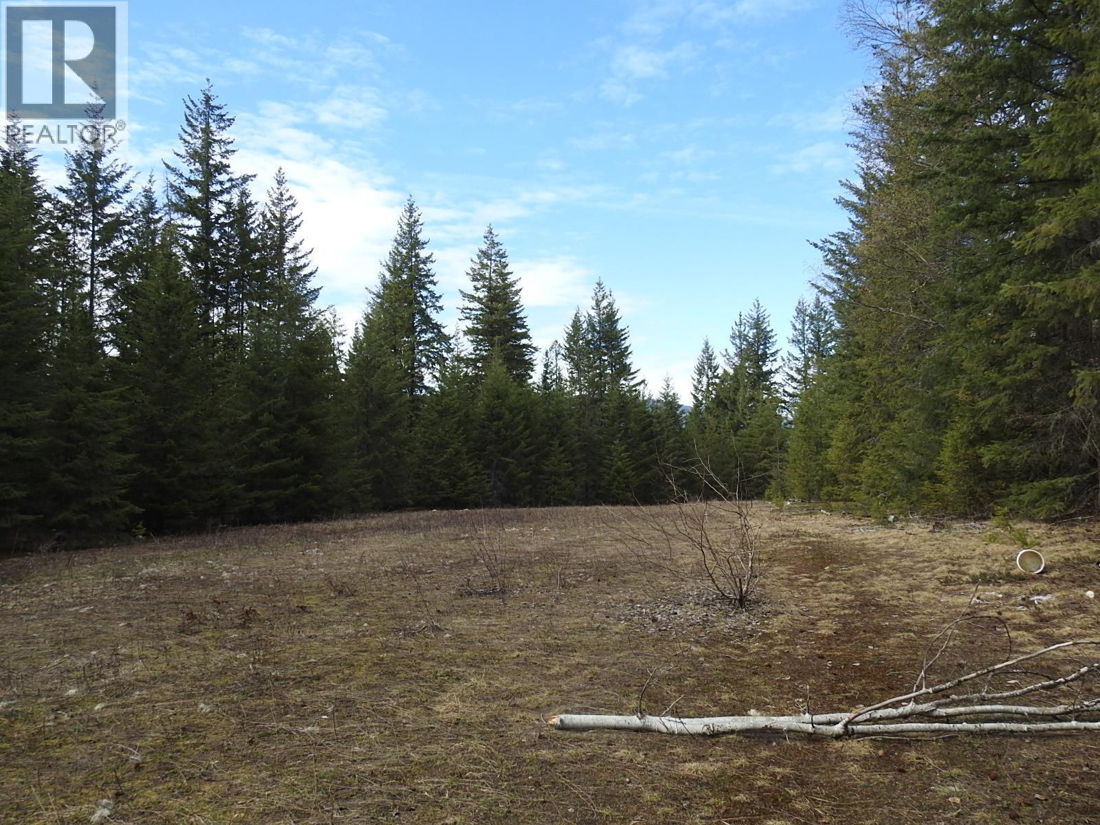 50 East Poirier Road, Mara, British Columbia  V0E 2K0 - Photo 27 - 10308875