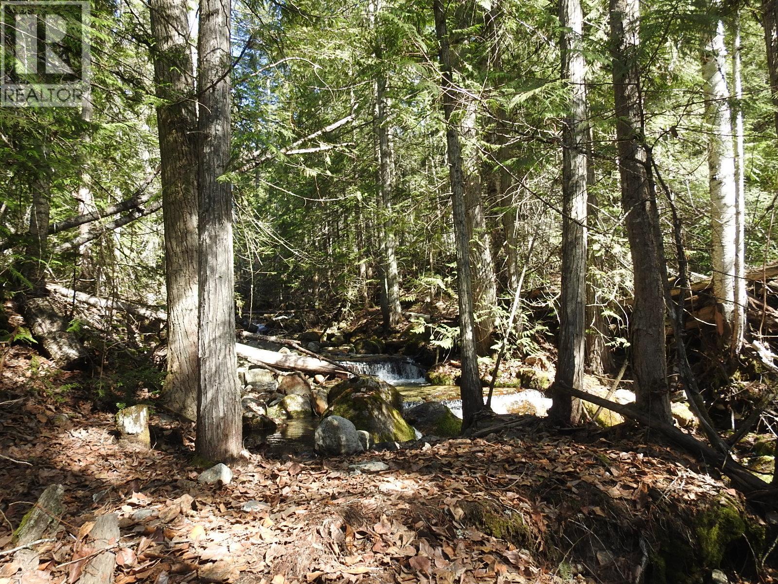 50 East Poirier Road, Mara, British Columbia  V0E 2K0 - Photo 17 - 10308875