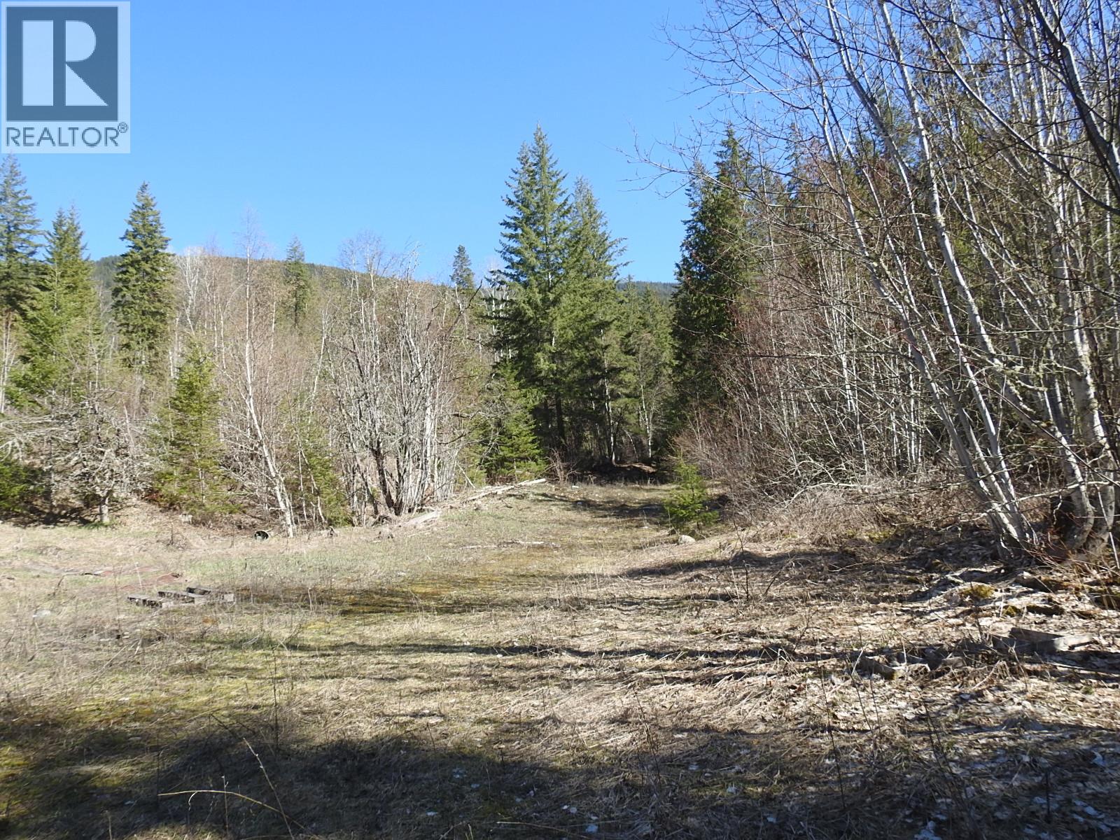 50 East Poirier Road, Mara, British Columbia  V0E 2K0 - Photo 20 - 10308875