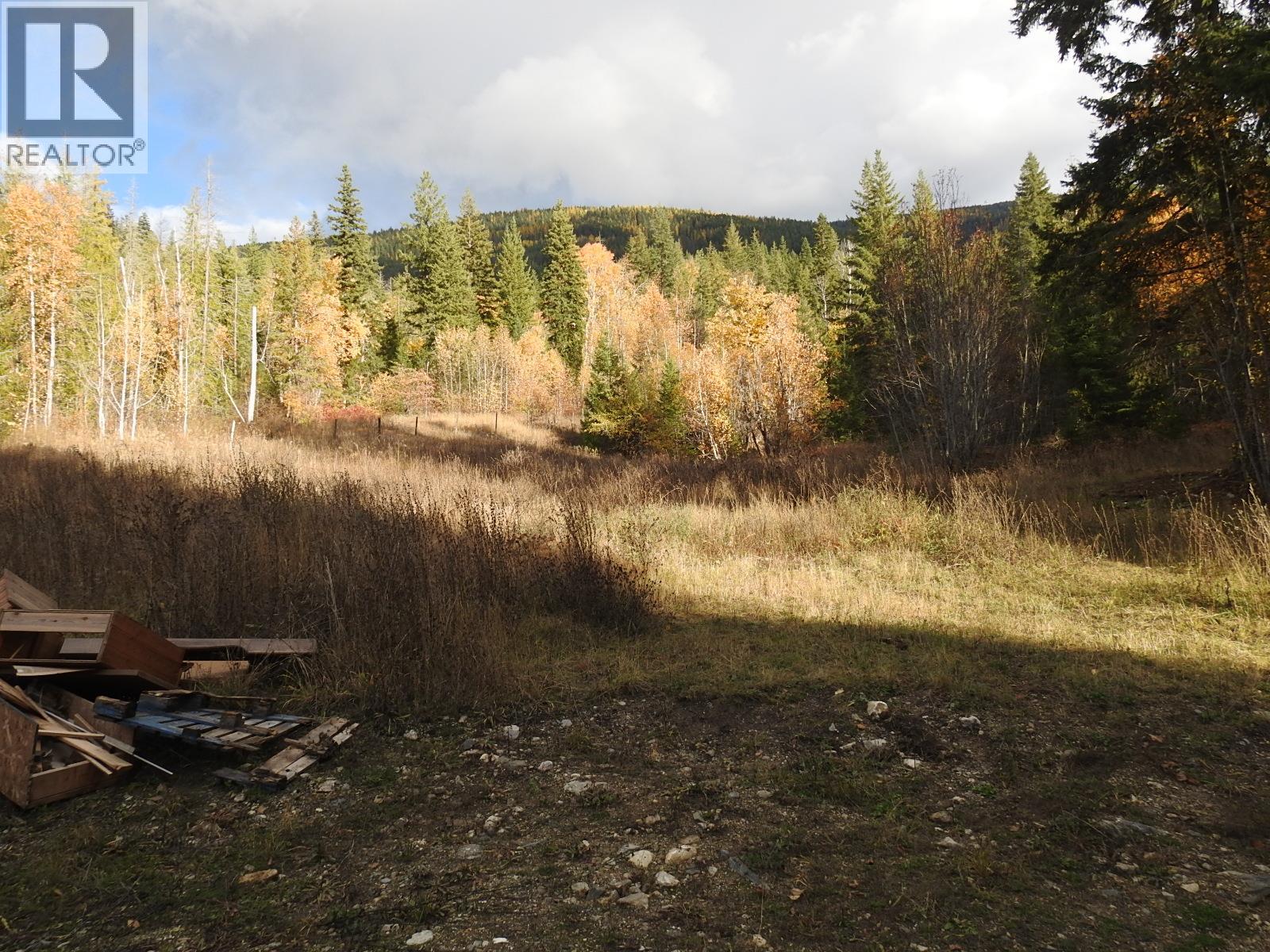 50 East Poirier Road, Mara, British Columbia  V0E 2K0 - Photo 50 - 10308875