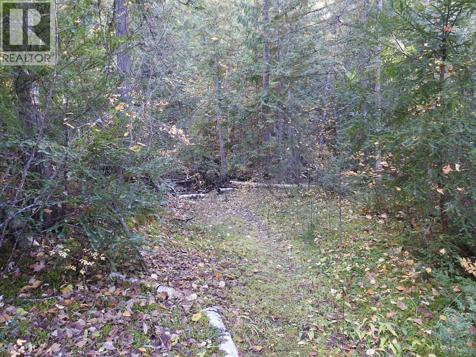 50 East Poirier Road, Mara, British Columbia  V0E 2K0 - Photo 59 - 10308875