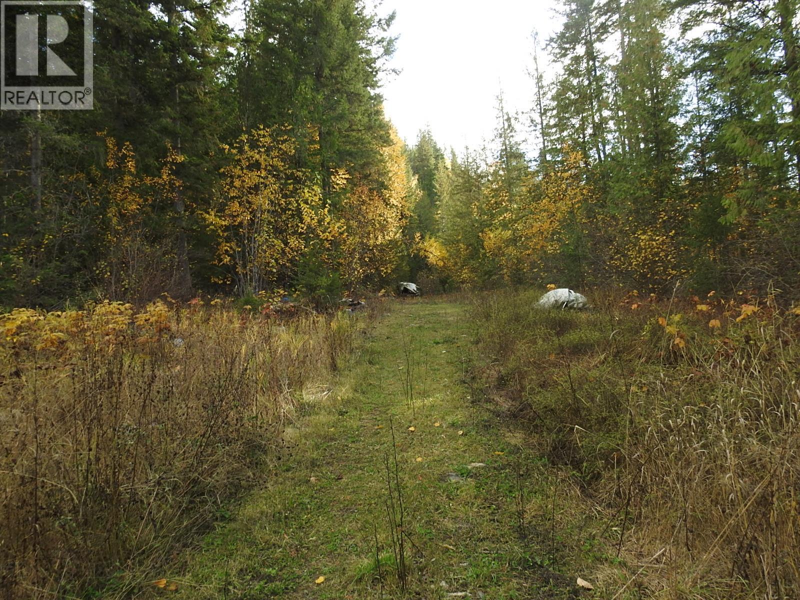 50 East Poirier Road, Mara, British Columbia  V0E 2K0 - Photo 58 - 10308875