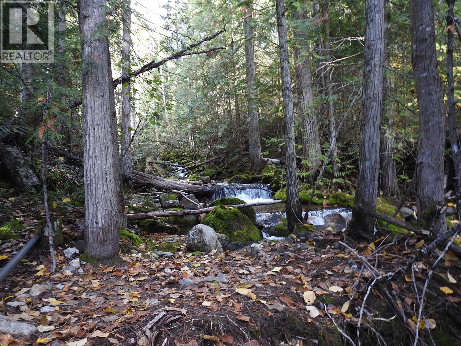 50 East Poirier Road, Mara, British Columbia  V0E 2K0 - Photo 61 - 10308875