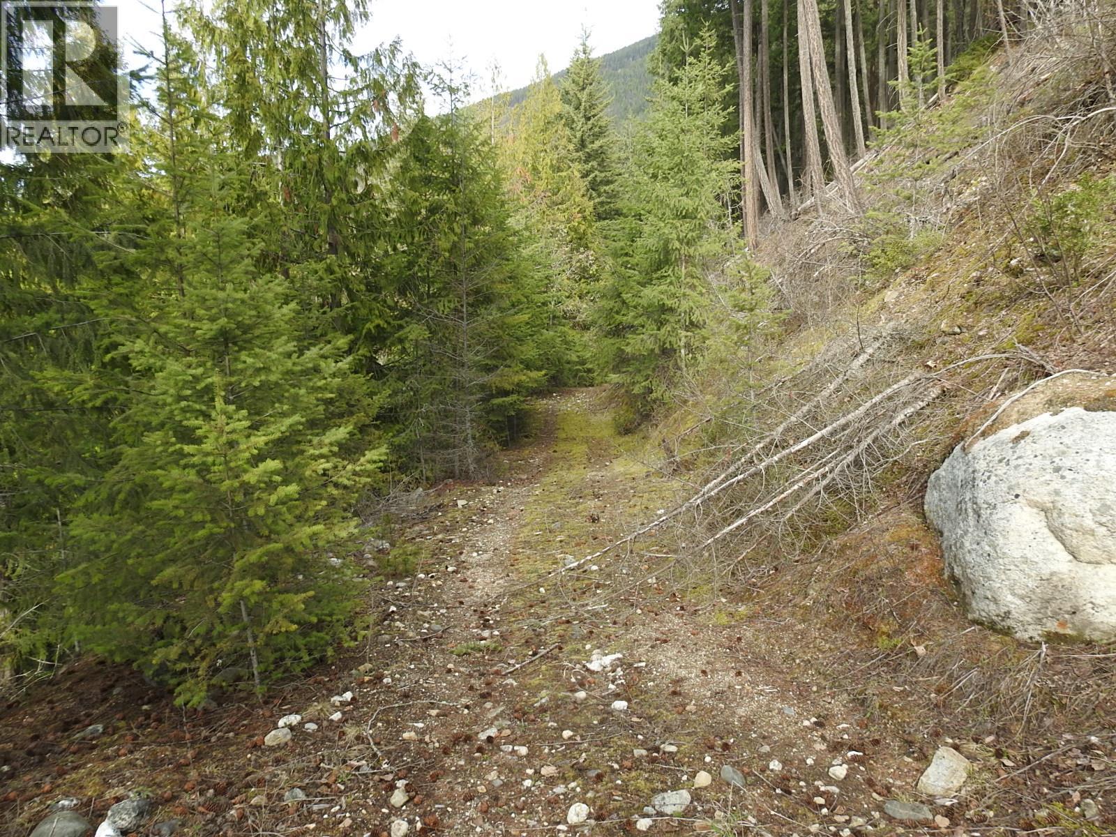 50 East Poirier Road, Mara, British Columbia  V0E 2K0 - Photo 29 - 10308875