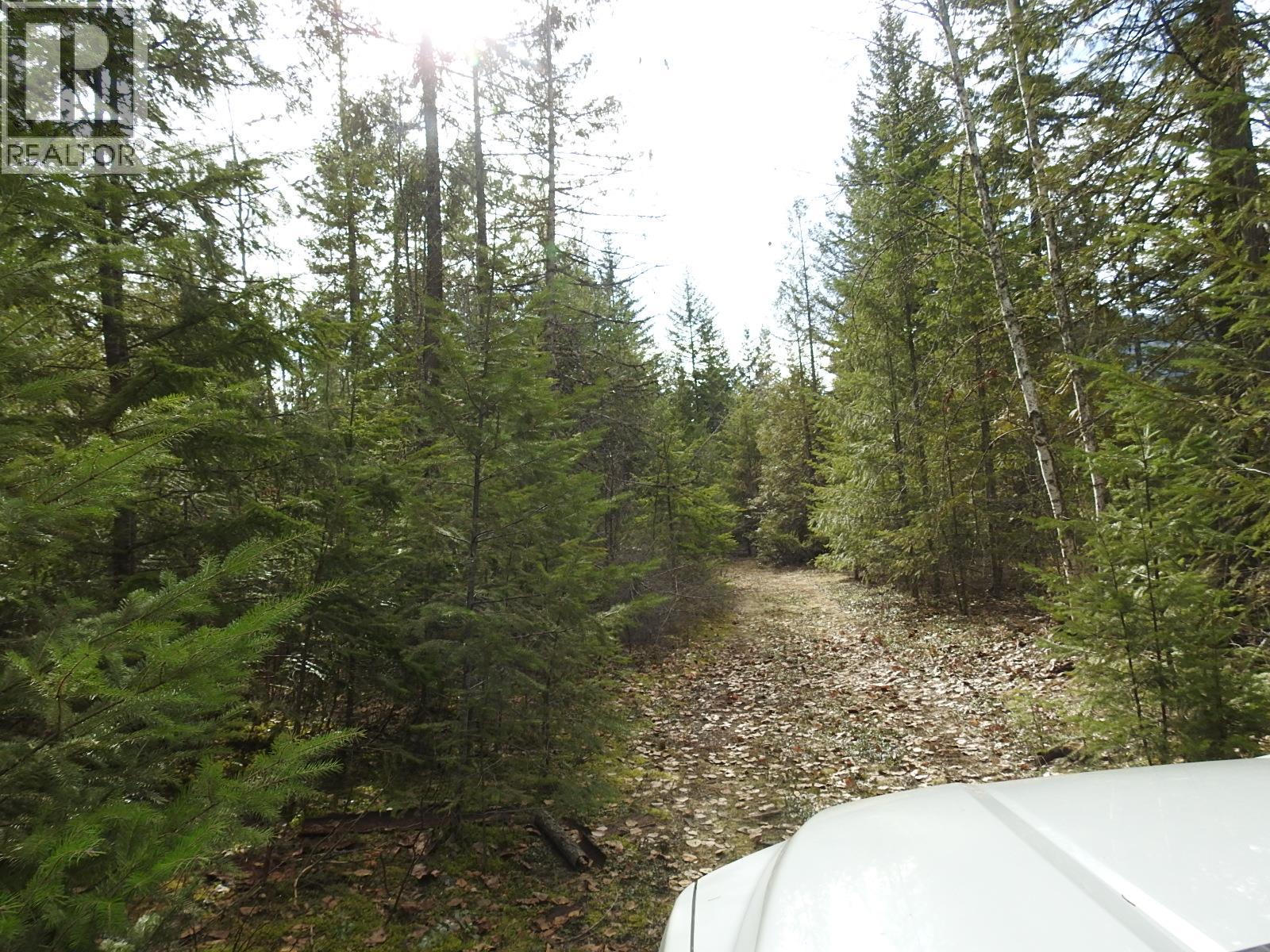 50 East Poirier Road, Mara, British Columbia  V0E 2K0 - Photo 32 - 10308875