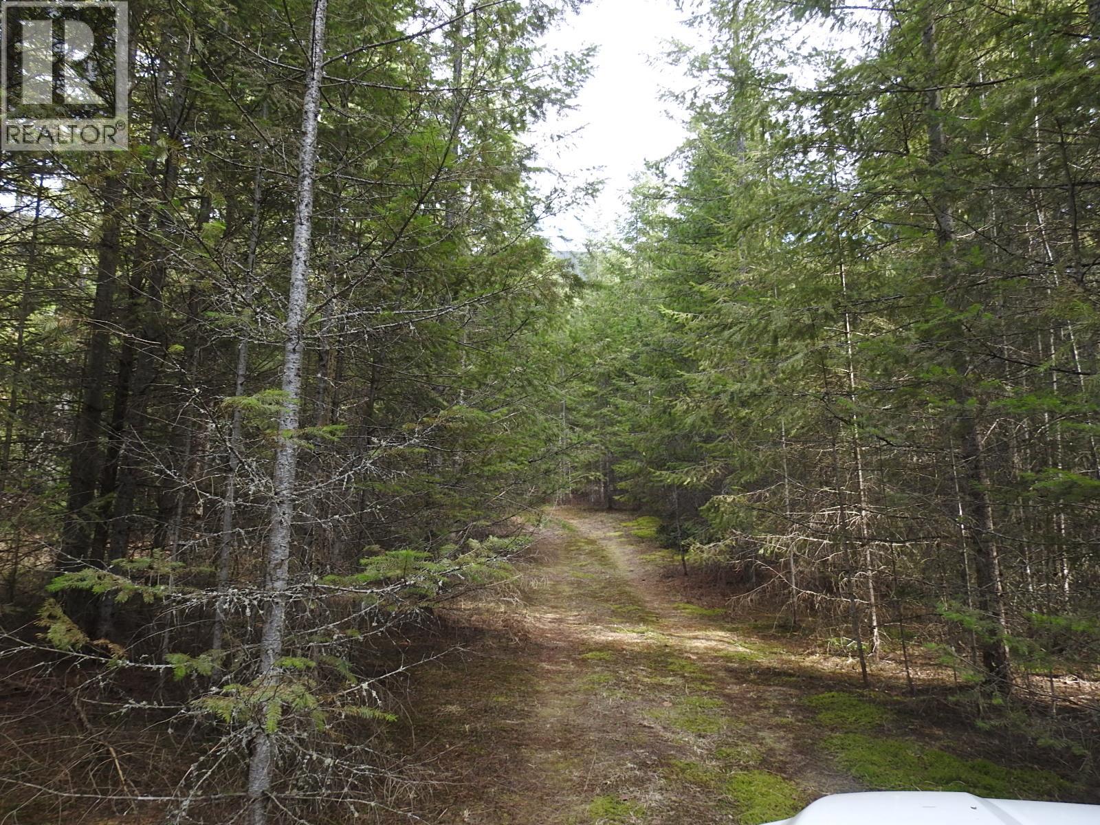 50 East Poirier Road, Mara, British Columbia  V0E 2K0 - Photo 36 - 10308875