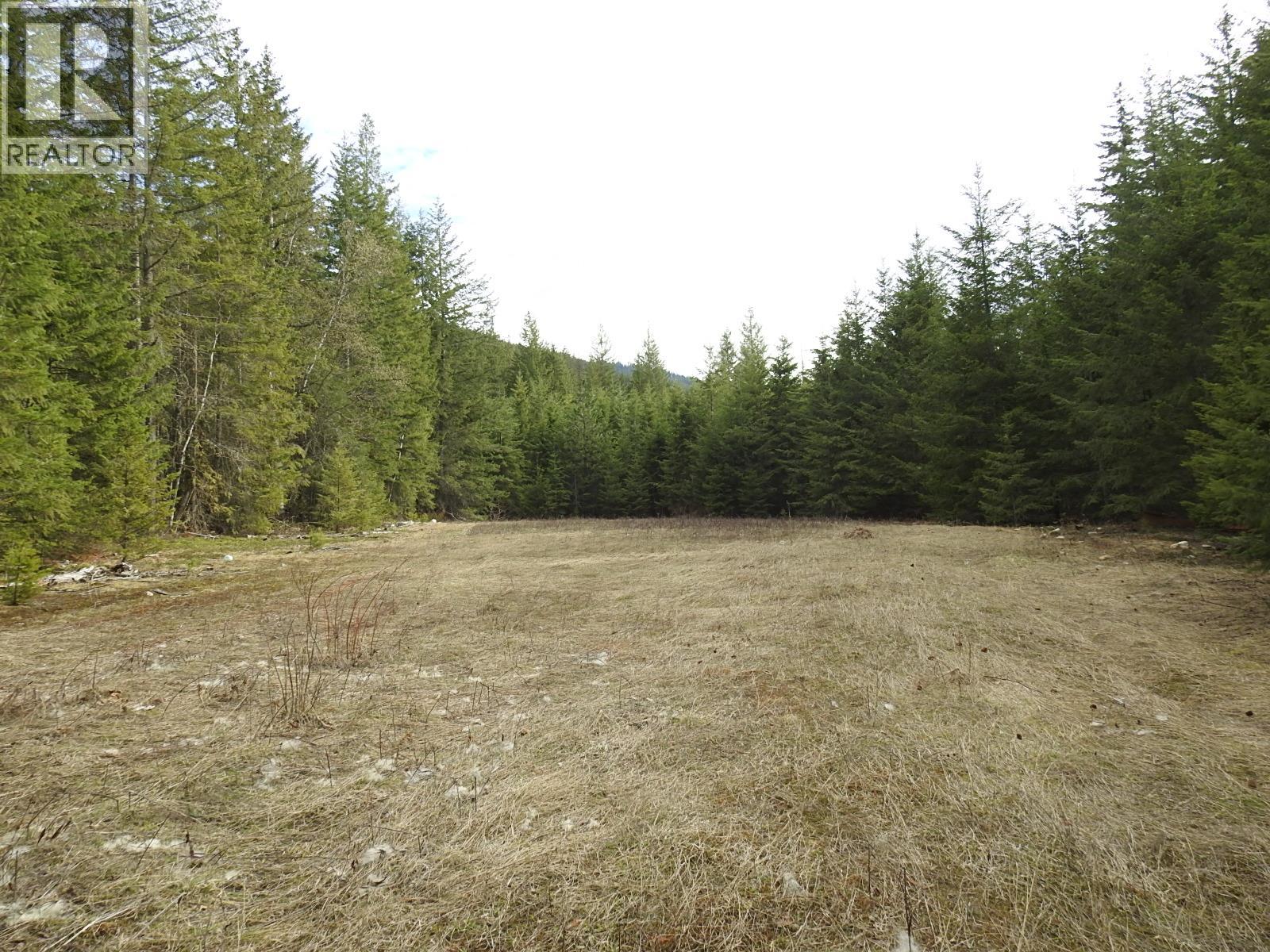 50 East Poirier Road, Mara, British Columbia  V0E 2K0 - Photo 34 - 10308875