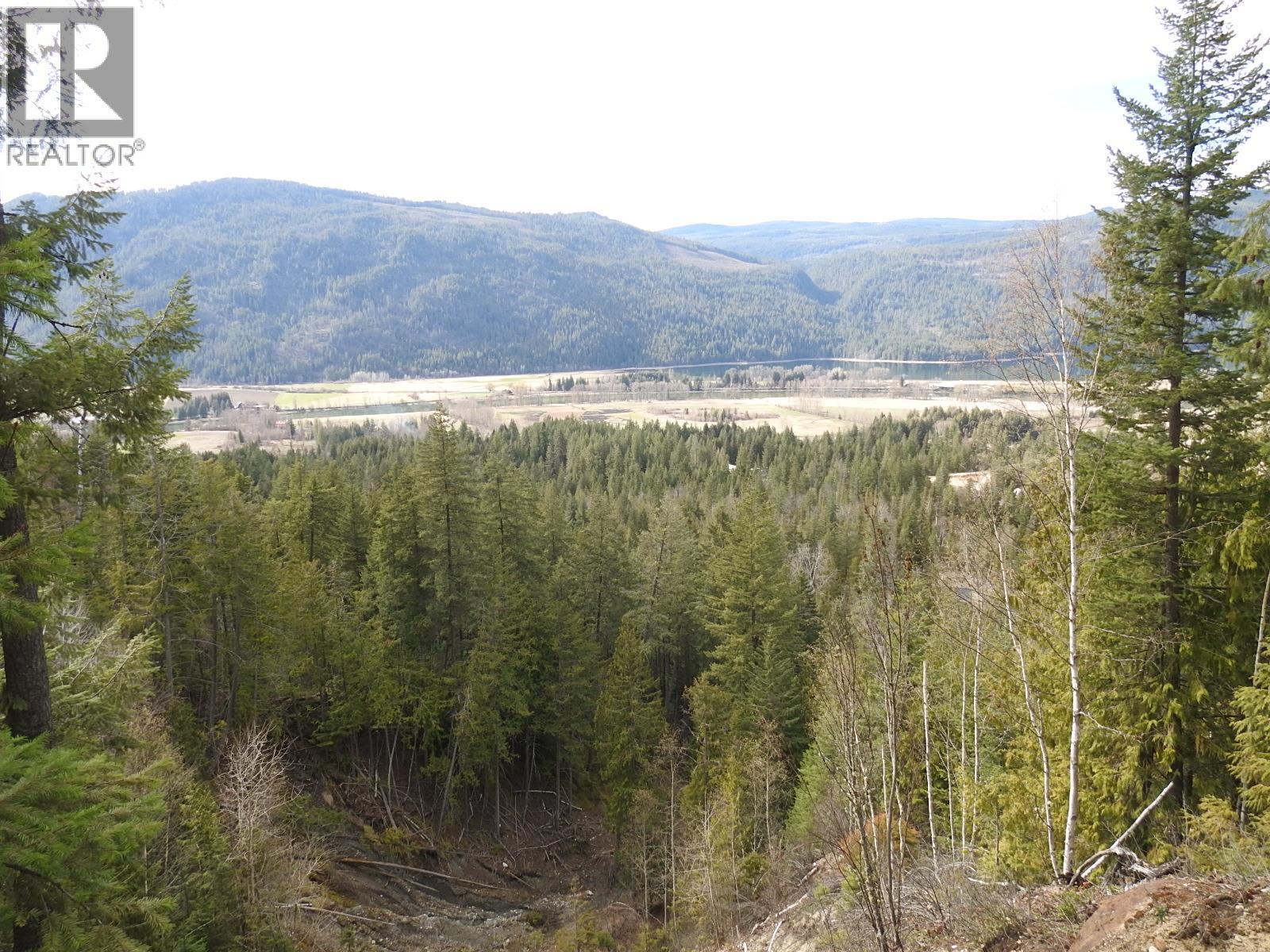 50 East Poirier Road, Mara, British Columbia  V0E 2K0 - Photo 28 - 10308875