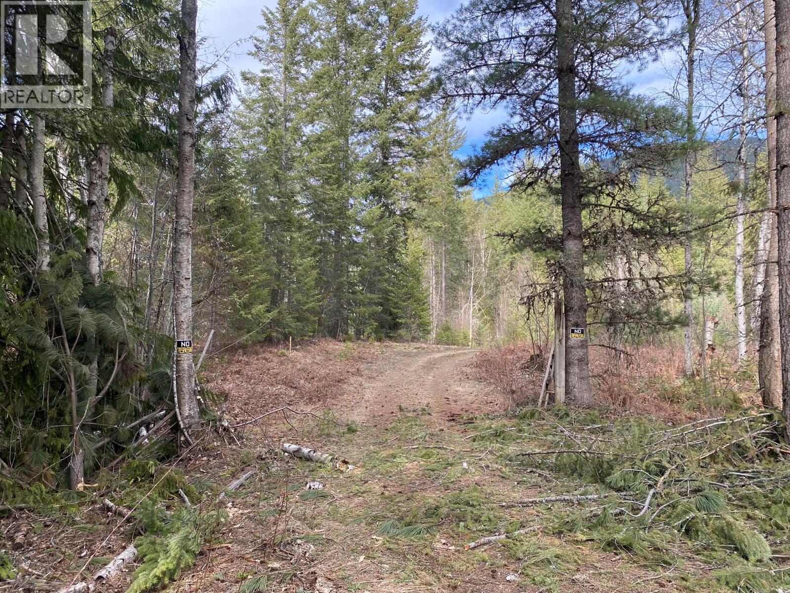 50 East Poirier Road, Mara, British Columbia  V0E 2K0 - Photo 45 - 10308875