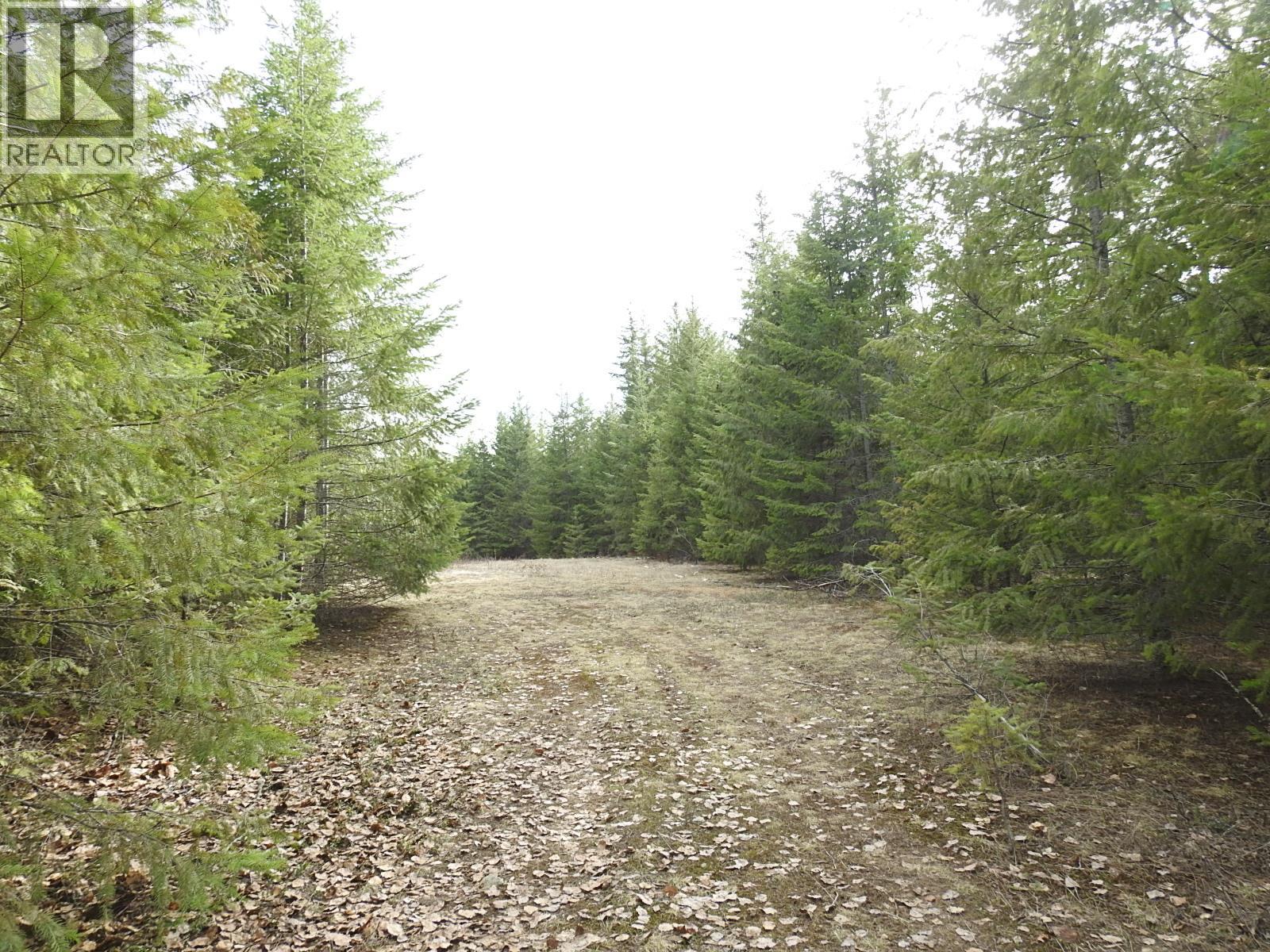 50 East Poirier Road, Mara, British Columbia  V0E 2K0 - Photo 33 - 10308875