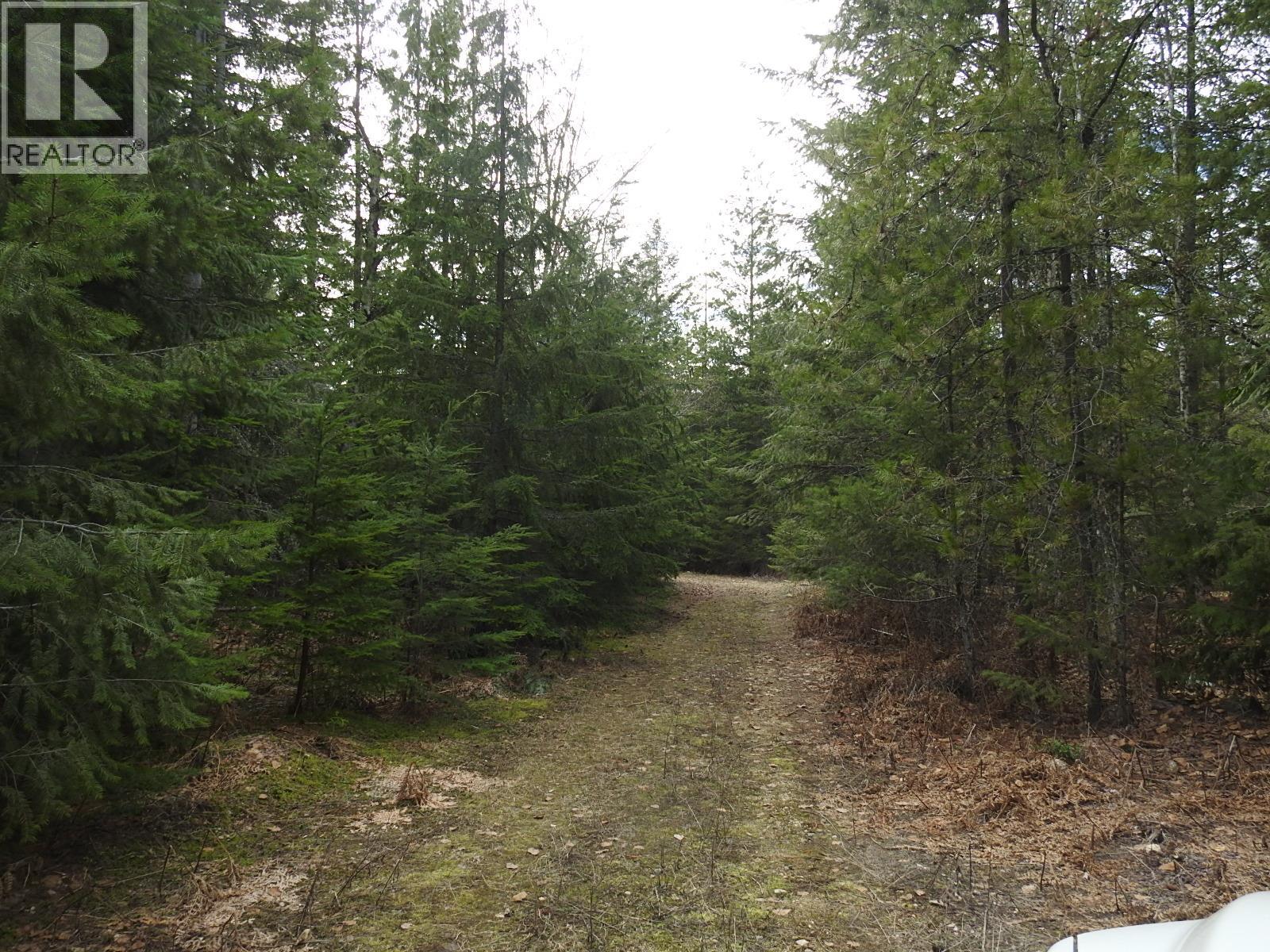 50 East Poirier Road, Mara, British Columbia  V0E 2K0 - Photo 23 - 10308875