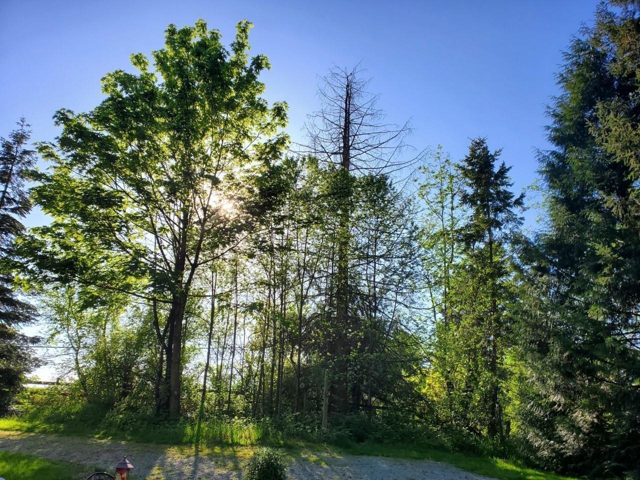 410 224 Street, Langley, British Columbia  V2Z 2W5 - Photo 6 - R3039298