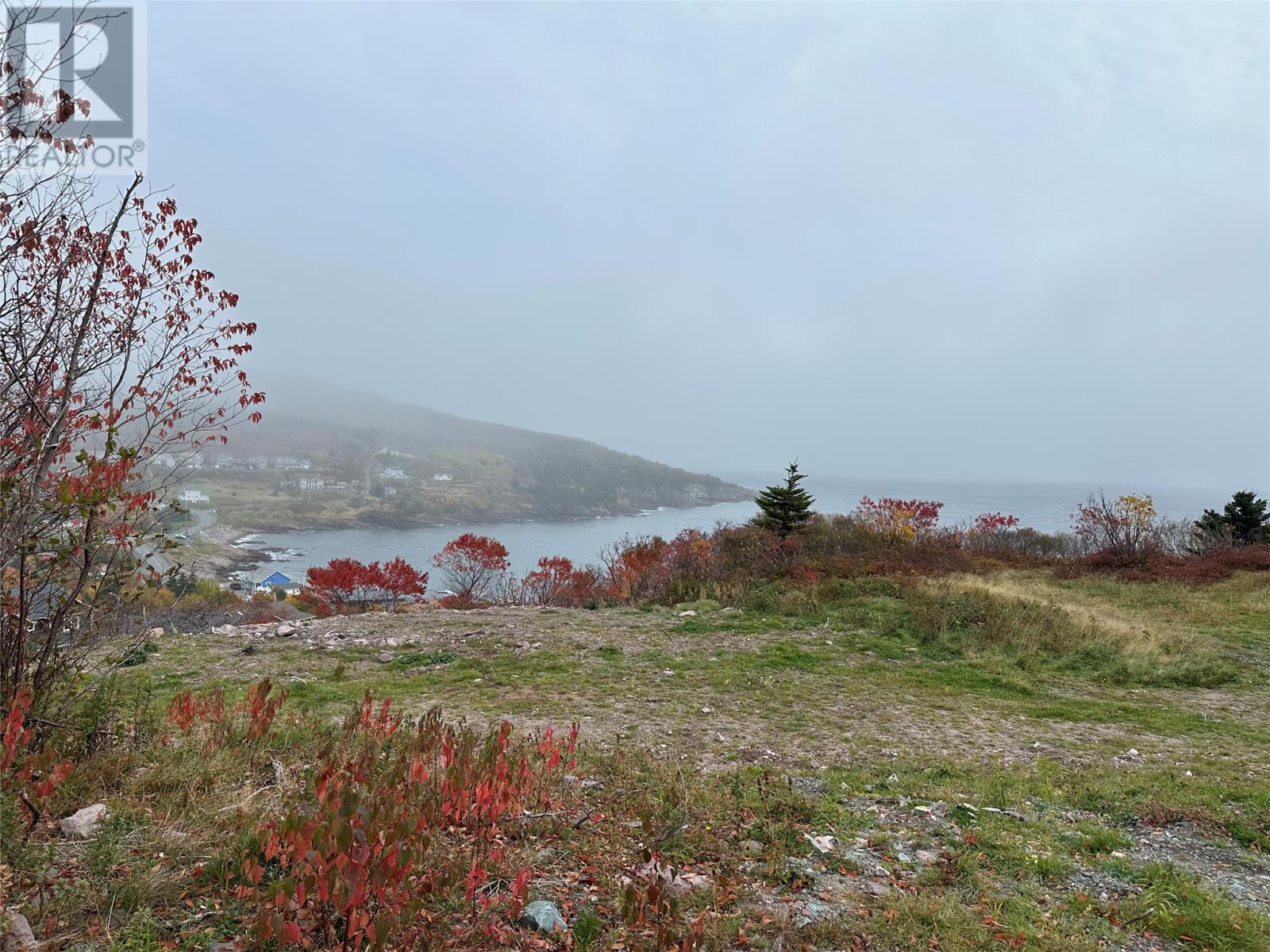 41-45 Motion Bay Road Extension, Petty Harbour- Maddox Cove, Newfoundland & Labrador  A0A 3H0 - Photo 6 - 1291692
