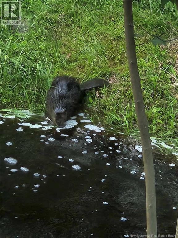 4661 Heritage Drive, Tracy, New Brunswick  E5L 1C6 - Photo 38 - NB125670