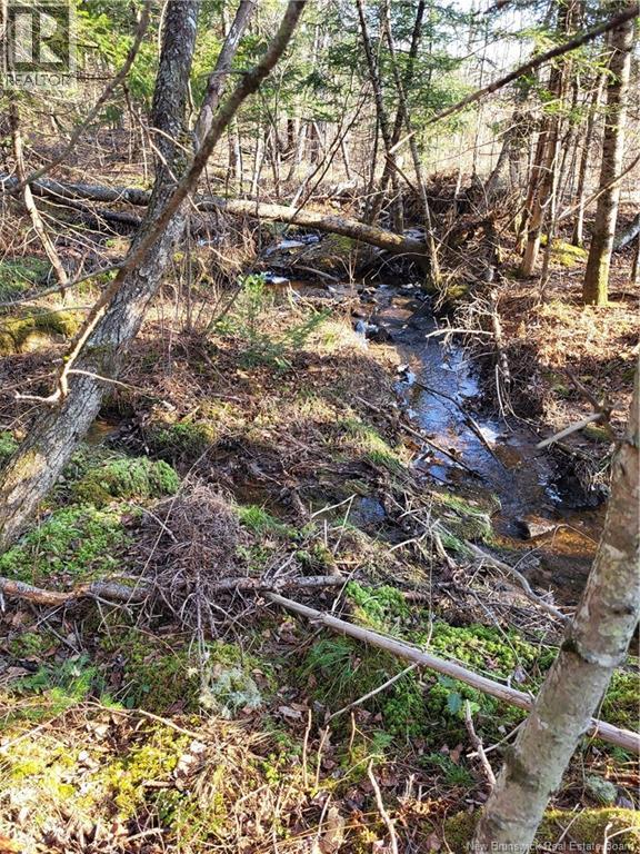 4661 Heritage Drive, Tracy, New Brunswick  E5L 1C6 - Photo 39 - NB125670