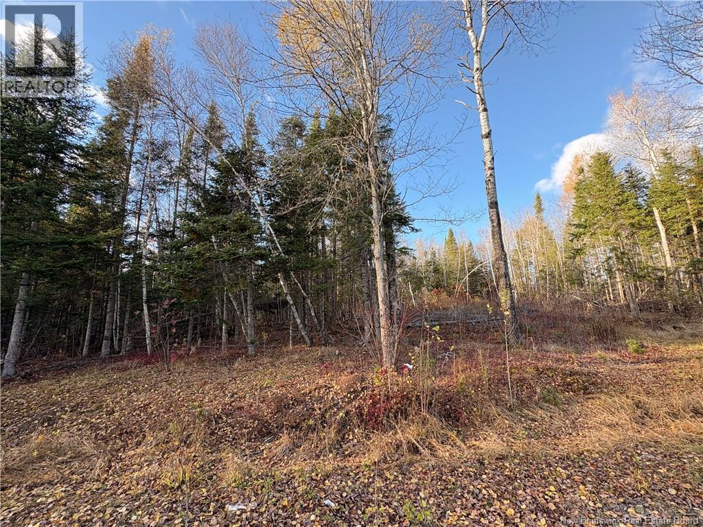 4661 Heritage Drive, Tracy, New Brunswick  E5L 1C6 - Photo 35 - NB125670