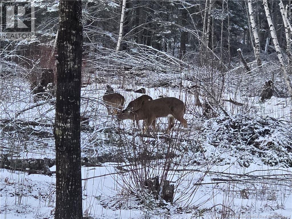 4661 Heritage Drive, Tracy, New Brunswick  E5L 1C6 - Photo 40 - NB125670