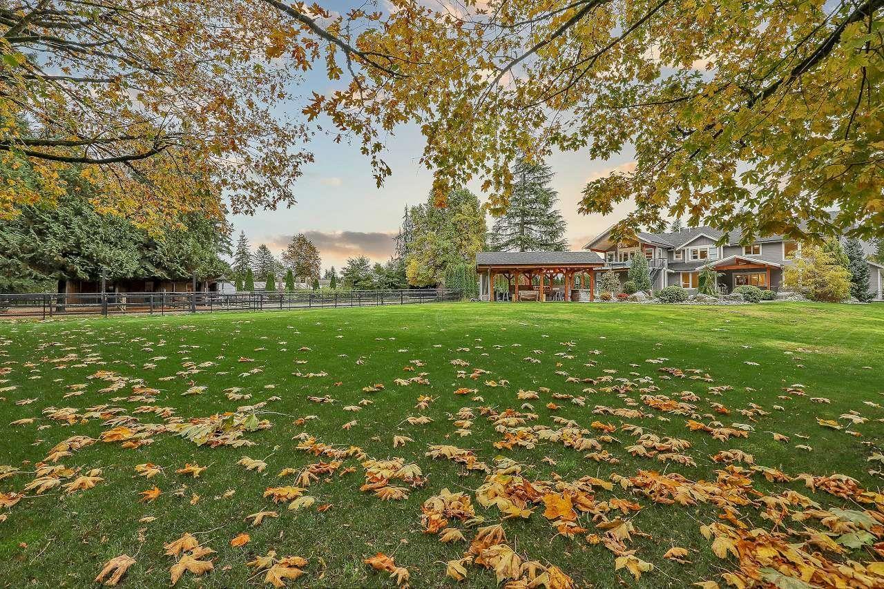 23461 50 Avenue, Langley, British Columbia  V2Z 2S7 - Photo 40 - R3062964