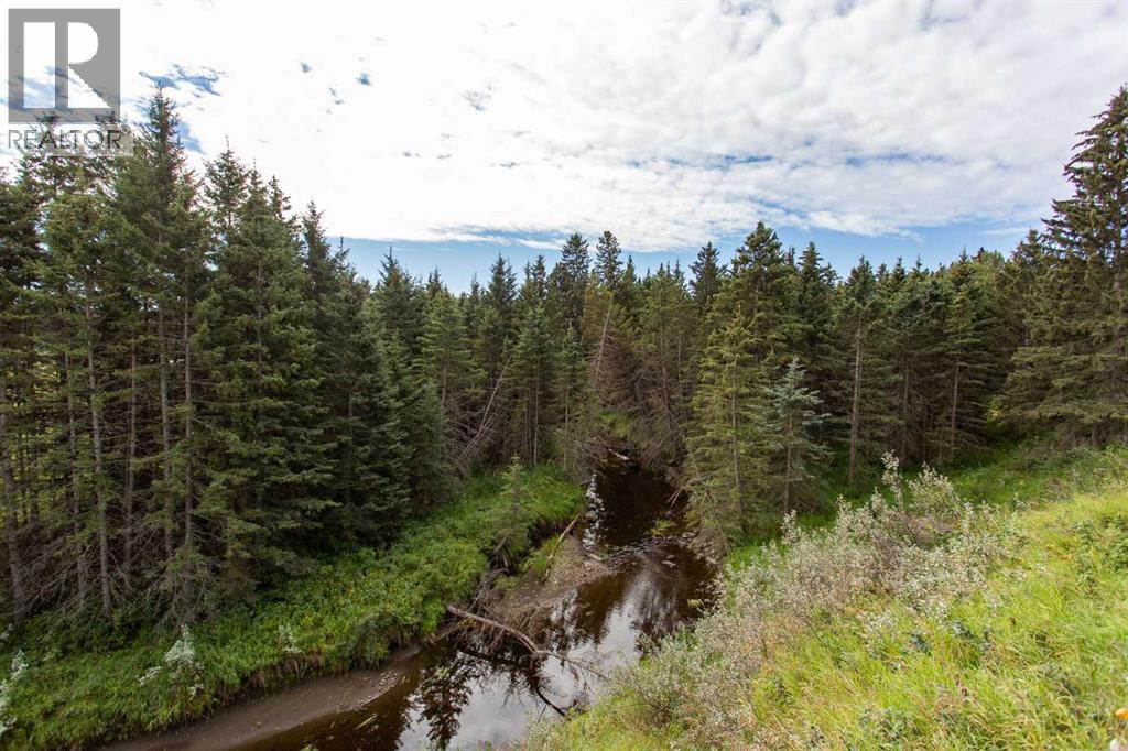 126 4th Street, Leslieville, Alberta  T0M 1H0 - Photo 7 - A2245769