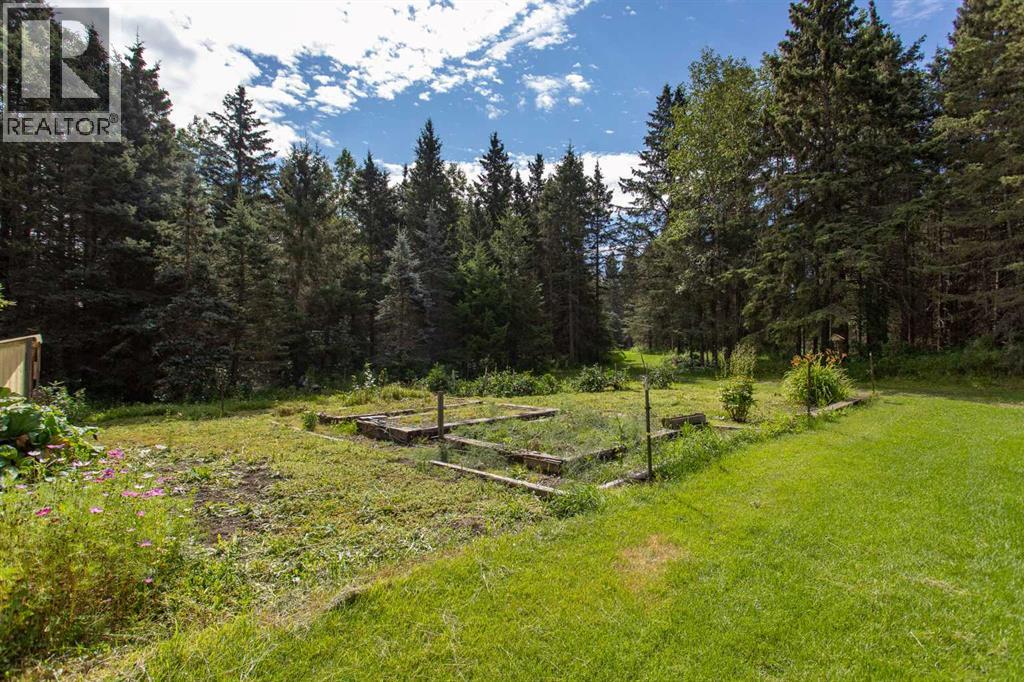 126 4th Street, Leslieville, Alberta  T0M 1H0 - Photo 32 - A2245769