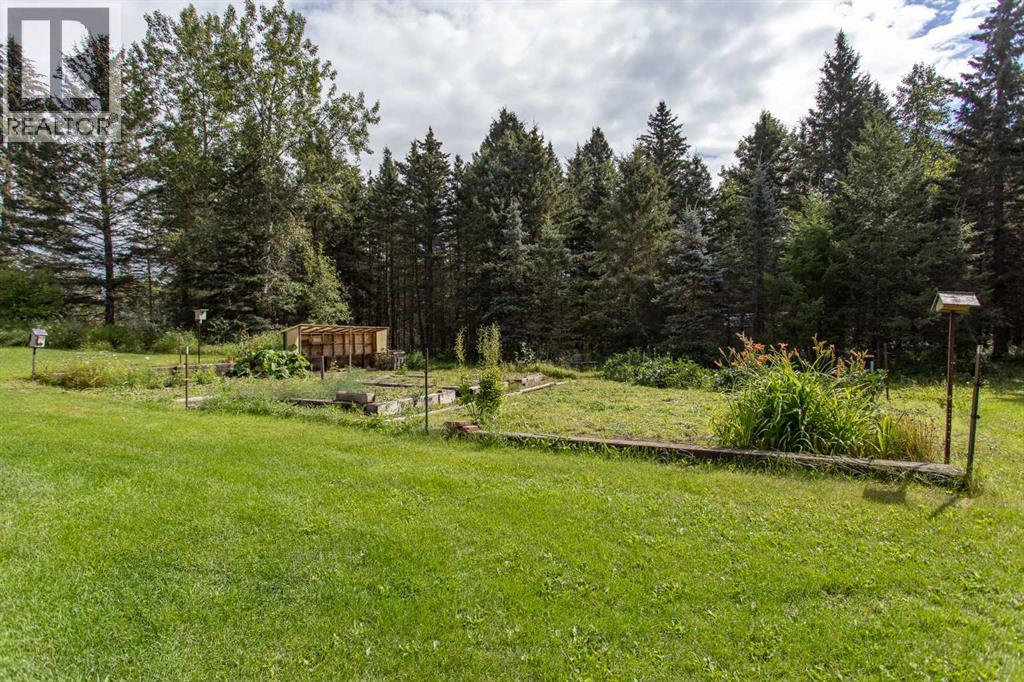 126 4th Street, Leslieville, Alberta  T0M 1H0 - Photo 29 - A2245769