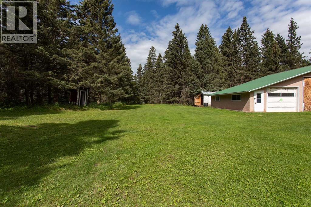 126 4th Street, Leslieville, Alberta  T0M 1H0 - Photo 35 - A2245769