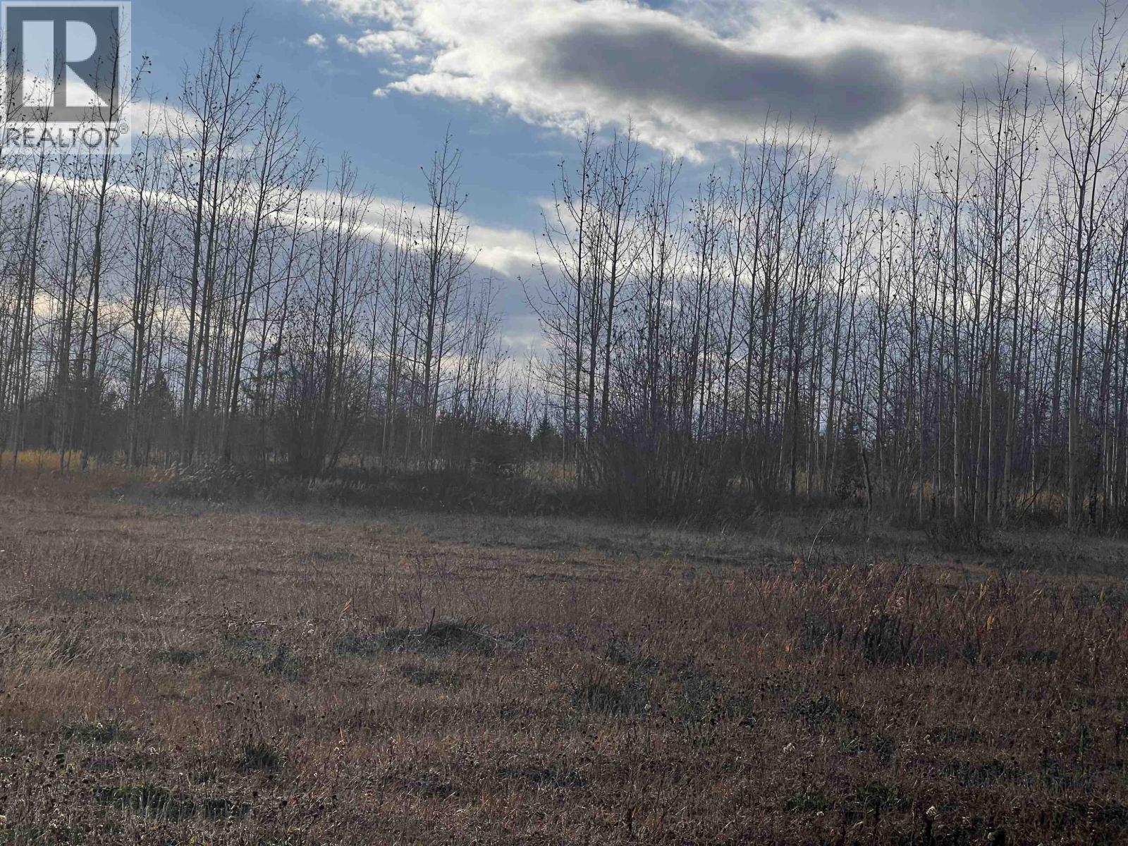 Hart Highway, Prince George, British Columbia  V2K 5W1 - Photo 20 - R3062894