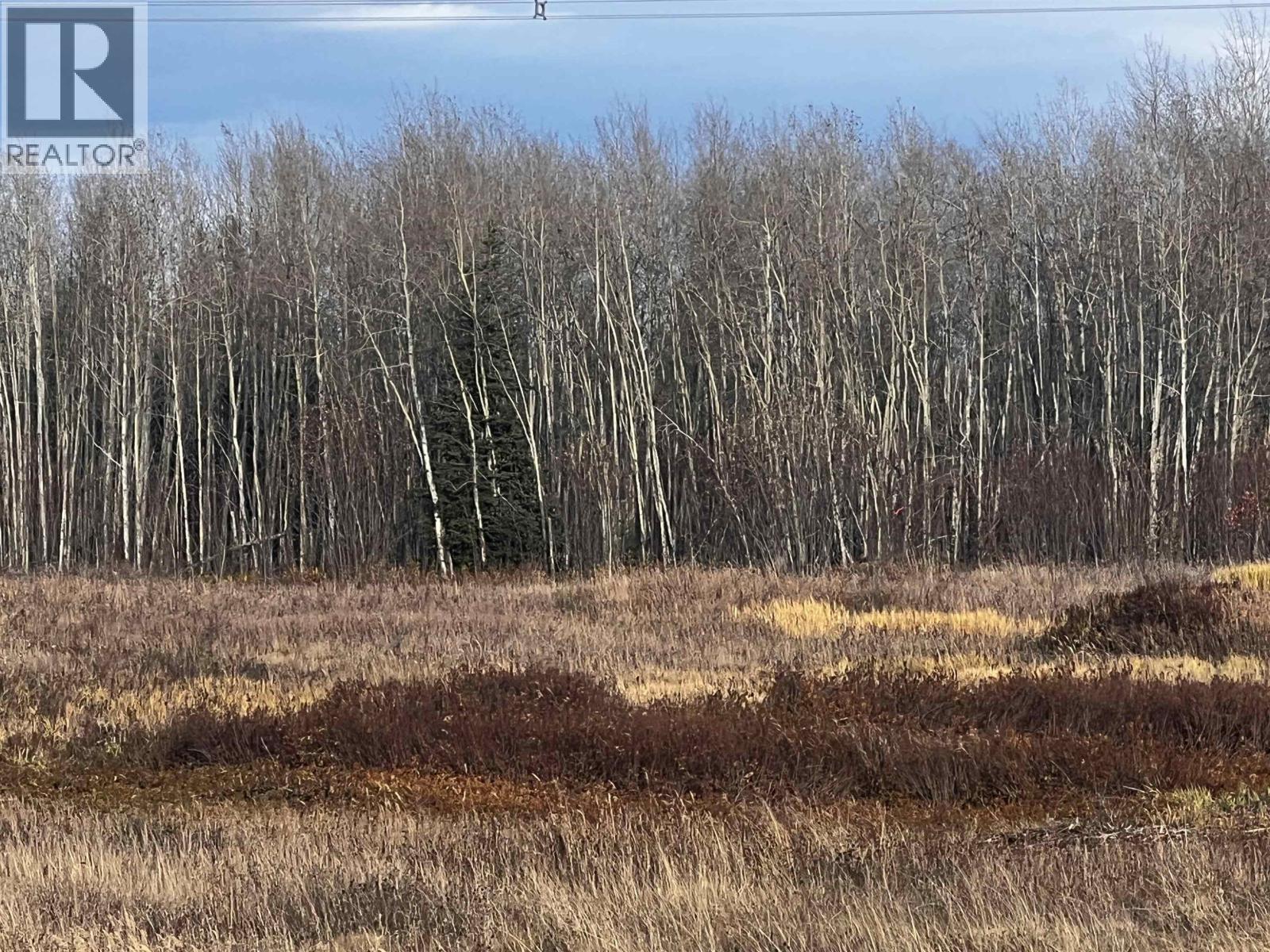 Hart Highway, Prince George, British Columbia  V2K 5W1 - Photo 13 - R3062894