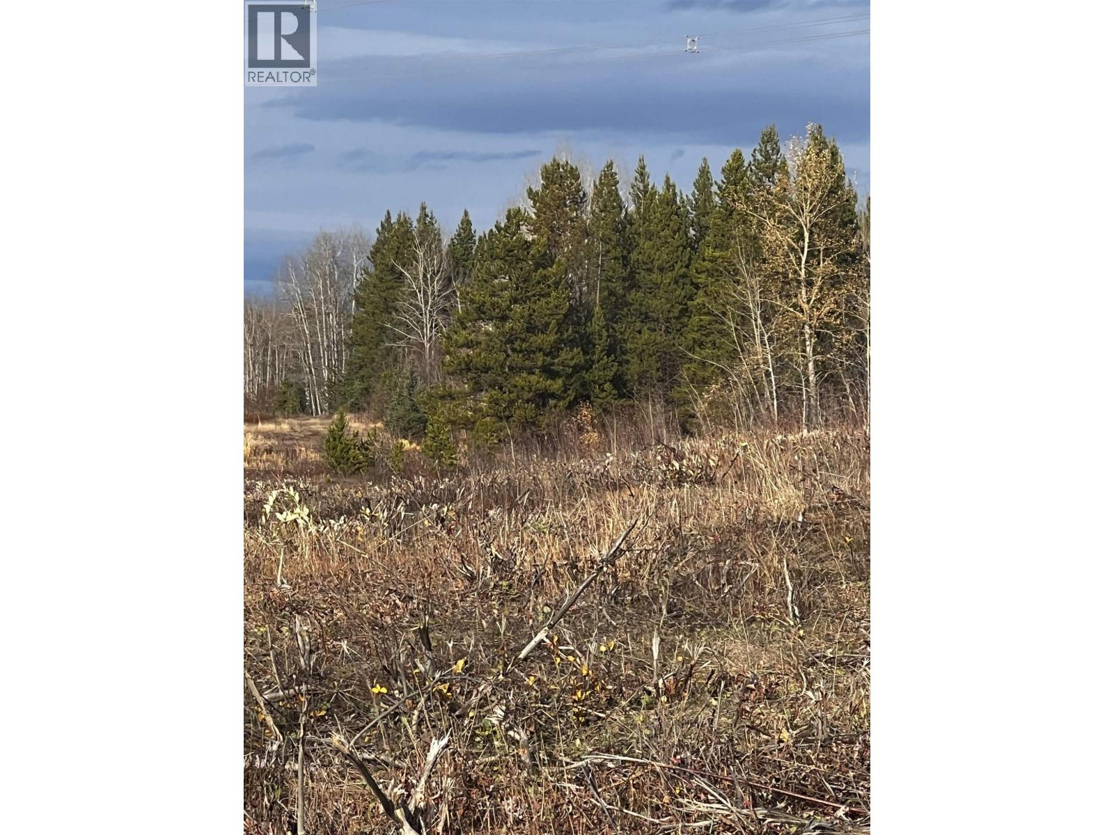 Hart Highway, Prince George, British Columbia  V2K 5W1 - Photo 29 - R3062894