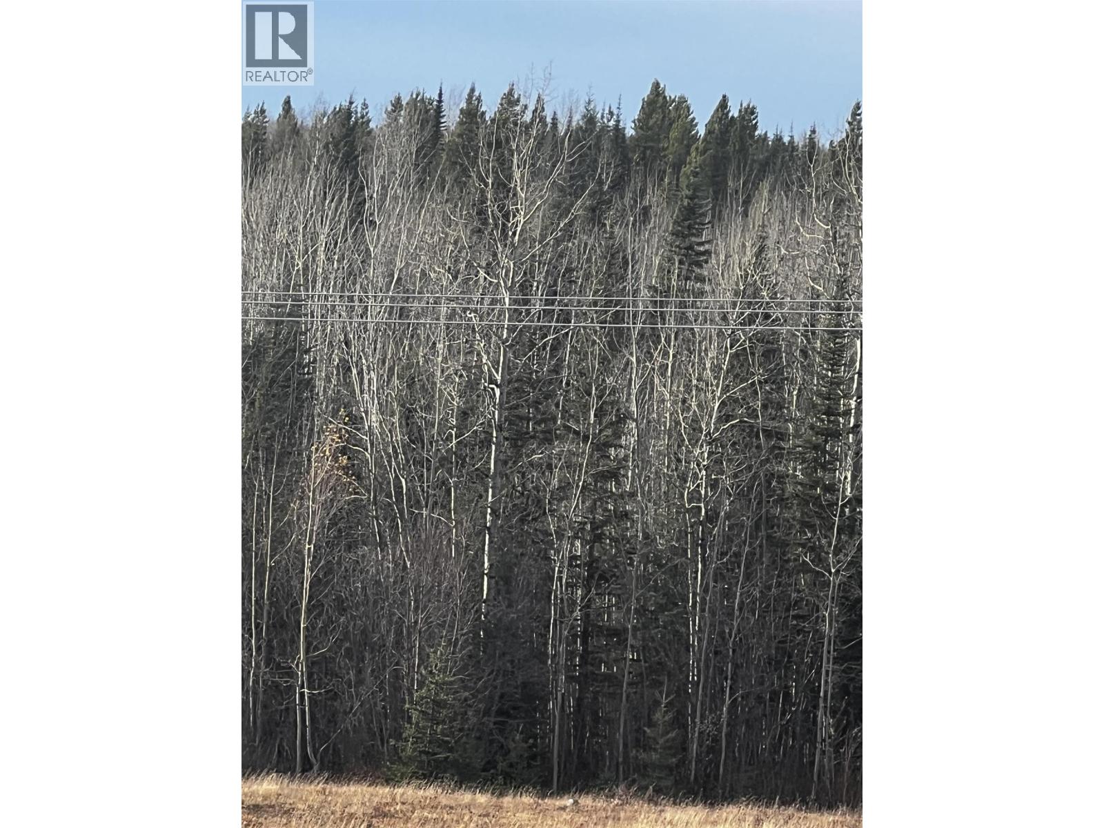 Hart Highway, Prince George, British Columbia  V2K 5W1 - Photo 32 - R3062894