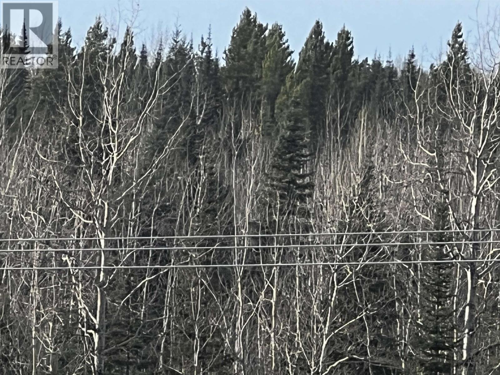 Hart Highway, Prince George, British Columbia  V2K 5W1 - Photo 35 - R3062894