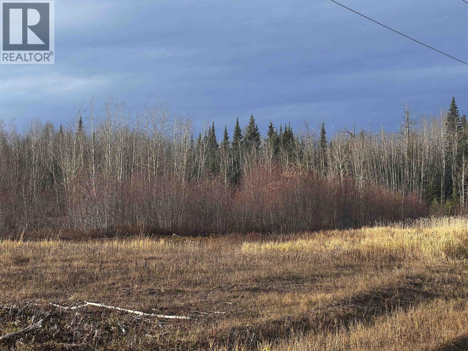 Hart Highway, Prince George, British Columbia  V2K 5W1 - Photo 24 - R3062894